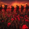 Red Poppy Soldiers Paint By Numbers