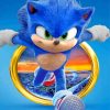 Sonic Cartoon Adventure Paint By Numbers