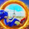 Sonic Cartoon Character Paint By Numbers