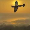 Spitfire Fighter Sunset Paint By Numbers