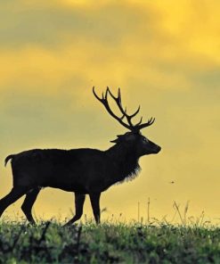 Easy Stag Deer Paint By Numbers