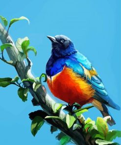Colorful Starling Bird Paint By Numbers