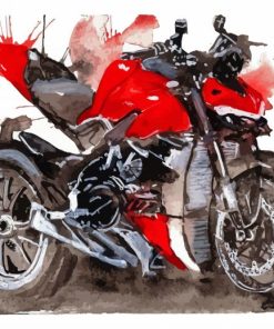 Streetfighter Motorcycle Art Paint By Numbers