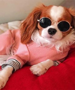 Charming Cavalier Puppy Paint By Numbers