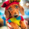 Stylish Dachshund Dog Paint By Numbers