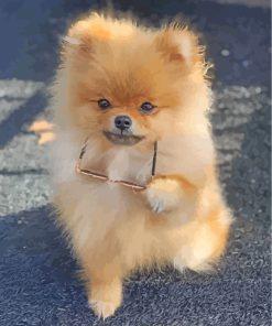 Chic Pomeranian Pet Paint By Numbers