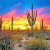 Saguaro Cactus Tucson Paint By Numbers