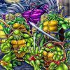 Ninja Turtles Heroes Paint By Numbers