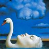 Dreamlike Swan and Cloud Scene Paint By Numbers