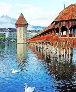 Swans of Chapel Bridge Paint By Numbers