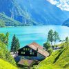 Swiss Nature Scenes Paint By Numbers