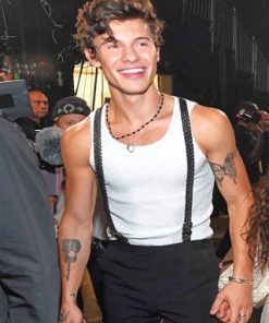 Shawn Mendes Singer Paint By Numbers