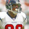 Texans Football Player Paint By Numbers