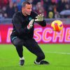 Samir Handanovic Goalkeeper Paint By Numbers