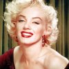 Marilyn Monroe Vintage Paint By Numbers