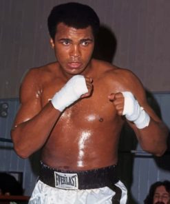 Muhammad Ali Boxing Legend Paint By Numbers