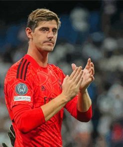 Thibaut Courtois Belgian Star Paint By Numbers