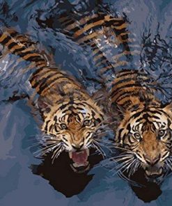 Tigers in Water Animal Scene Paint By Numbers