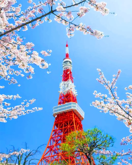 finalizing the artwork by numbers