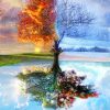 Four Seasons Tree Landscape Paint By Numbers