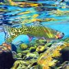 Trout Fish Sea Life Paint By Numbers