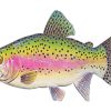 Trout Fish Paint By Numbers
