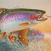 Colorful Trout Fish Paint By Numbers