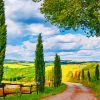 Tuscany Italy Landscapes Paint By Numbers