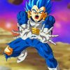 Vegeta Saiyan Warrior Paint By Numbers