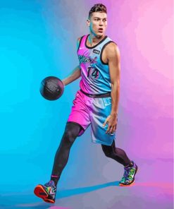 Miami Heat Basketball Paint By Numbers