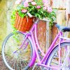 Vintage Bicycle with Pink Flowers Paint By Numbers