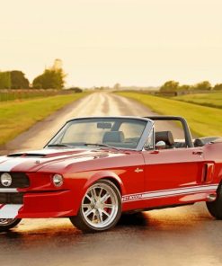 Red Vintage Ford GT500 Paint By Numbers