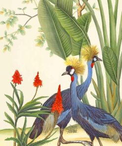 Black Crowned Crane Birds Paint By Numbers