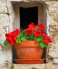 Red Vintage Flowers Paint By Numbers