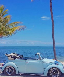 Volkswagen Beetle Blue Car Paint By Numbers