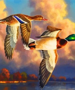 Majestic Waterfowl Birds Paint By Numbers