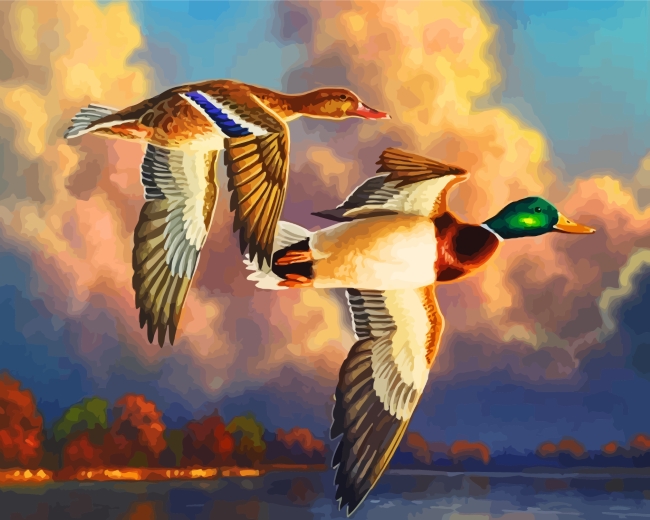 Finalizing Majestic Waterfowl Birds Artwork