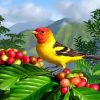 Western Tanager Bird Paint By Numbers