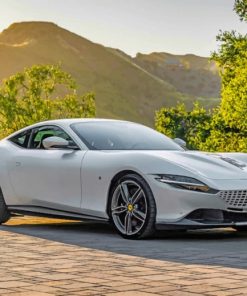 White Ferrari Masterpiece Paint By Numbers