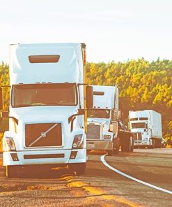 White Volvo Truck Roadside Paint By Numbers