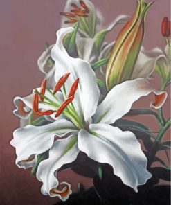 Majestic White Magnolia Paint By Numbers