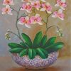 Orchid Blooms Paint By Numbers