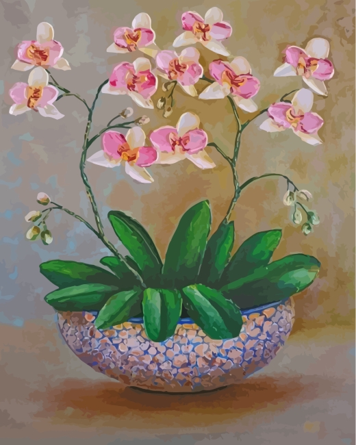 finalized Orchid Blooms artwork