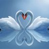 Graceful White Swans Paint By Numbers
