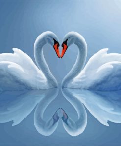 Graceful White Swans Paint By Numbers