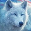 White Wolf and American Flag Art Paint By Numbers