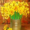Wild Daffodils Flower Paint By Numbers