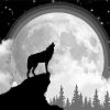 Wolf Moon Silhouette Paint By Numbers