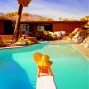 Summer Vacation Poolside Paint By Numbers