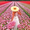 Pink Flower Field Woman Paint By Numbers